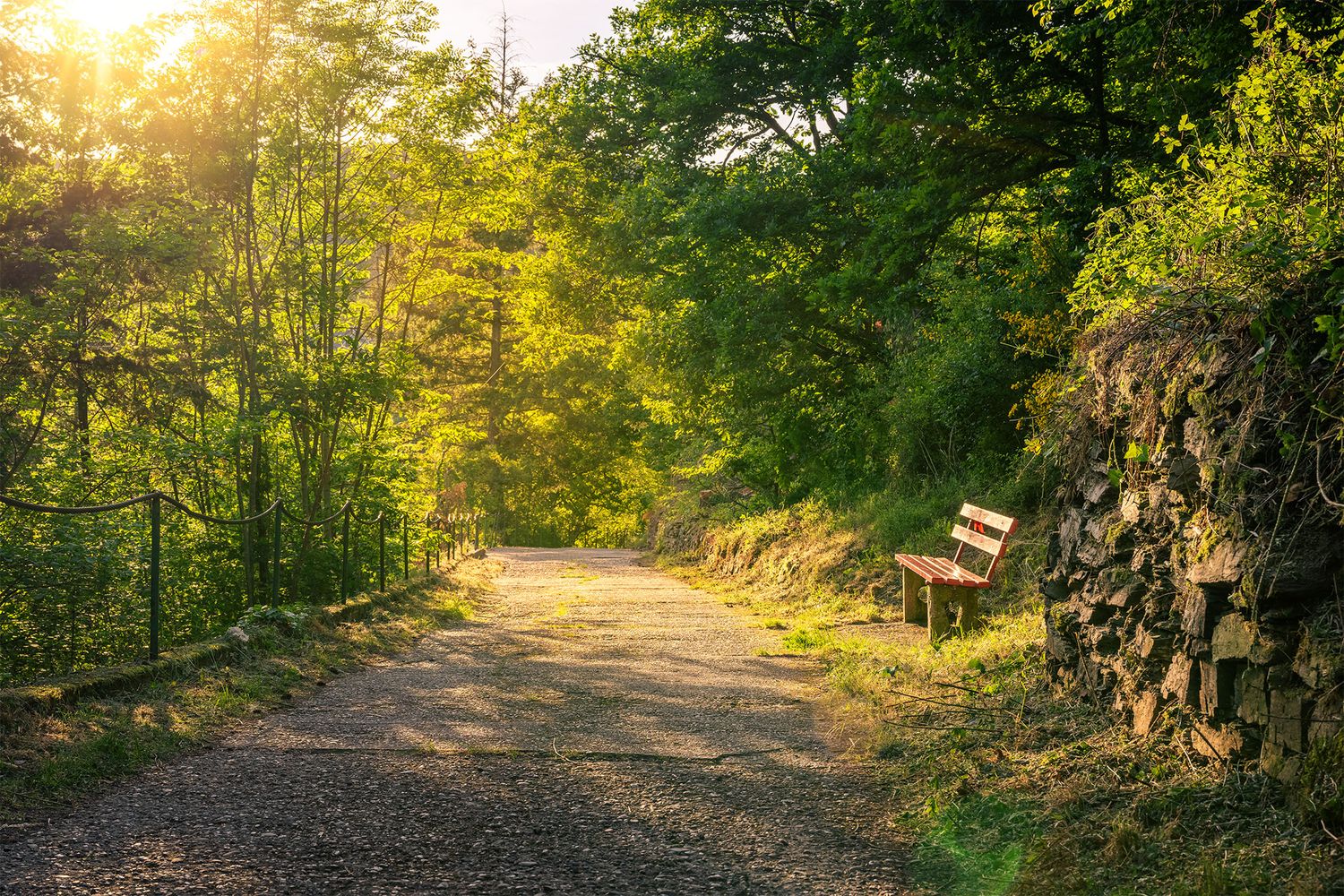 Wanderweg in Altenahr