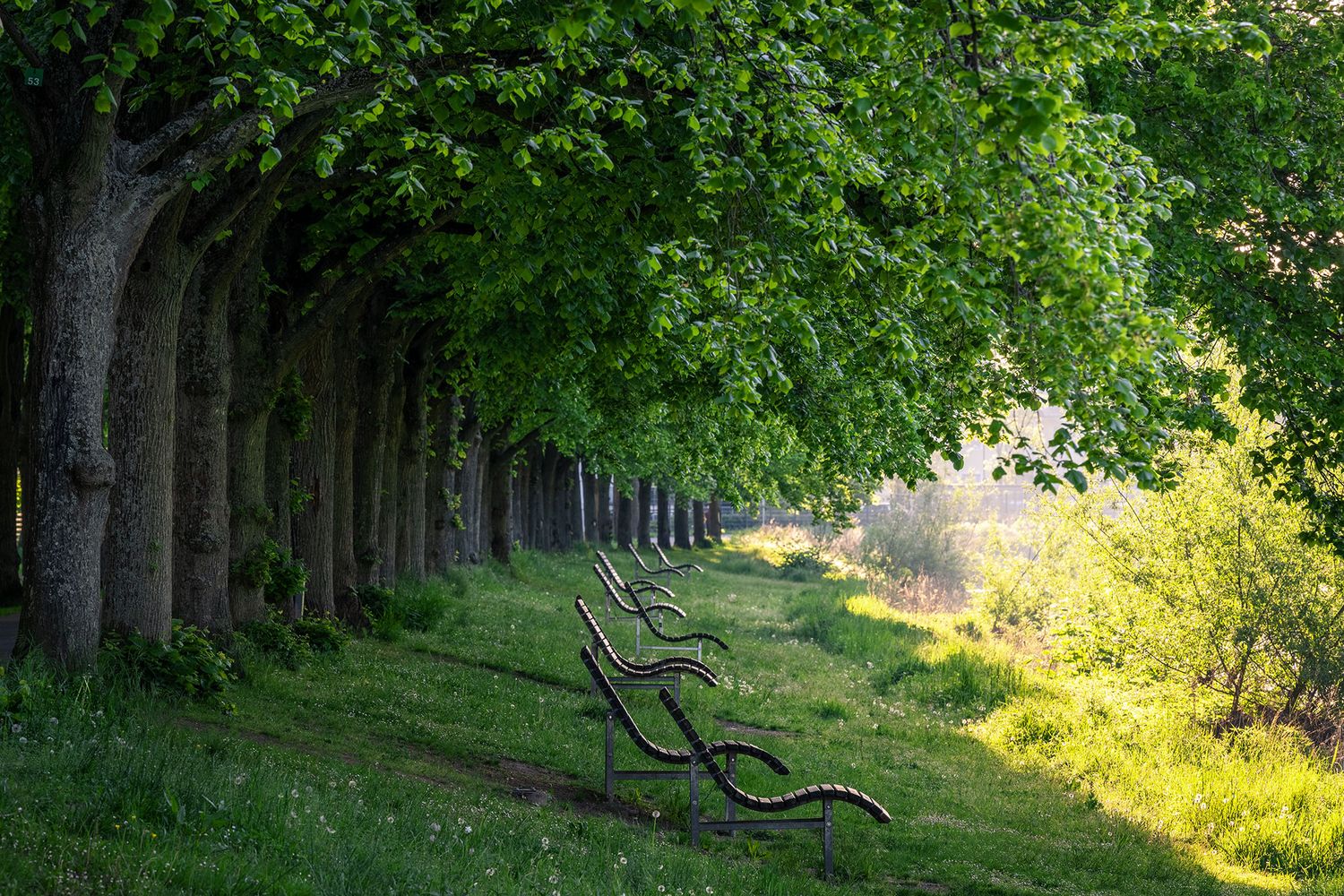 Ruhebänke KAV-Park Bad Neuenahr