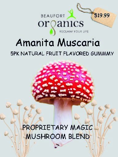 Proprietary Mushroom Gummy - 5 pack