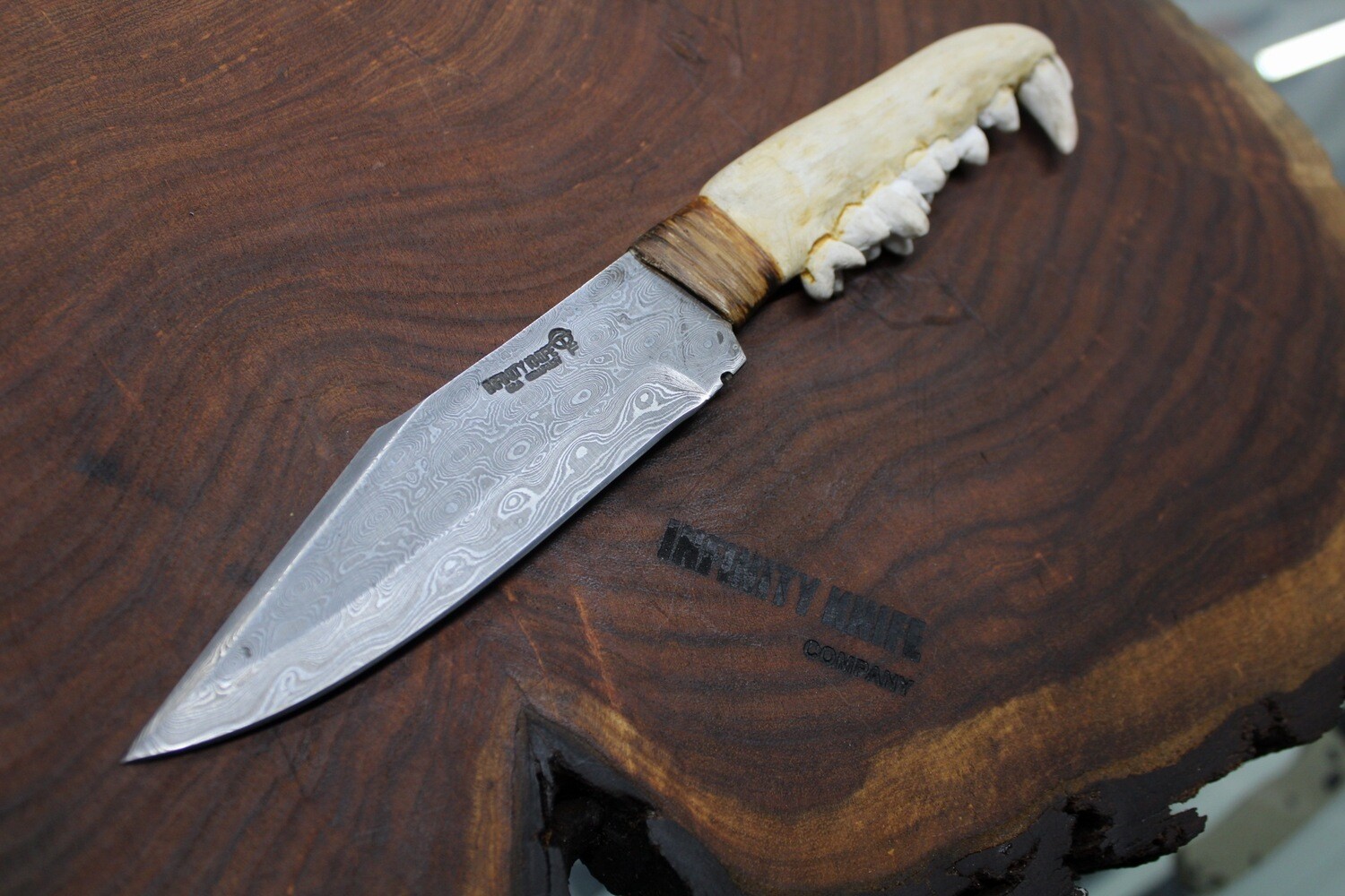Coyote Jaw Damascus Fixed Blade Knife