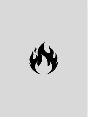 BRÛLEURS DE GRAISSE