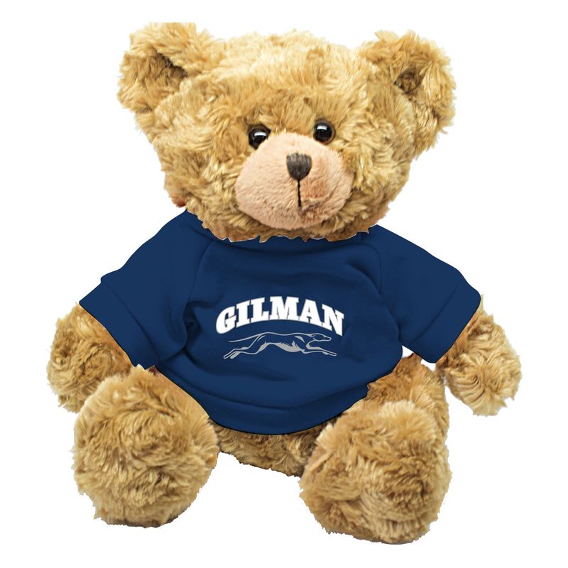 BEAR DUFFY BROWN 10&quot;