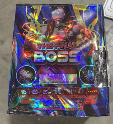 THE FINAL BOSS