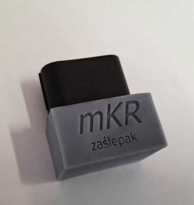 Zaślepak, zaślepka, ślepak