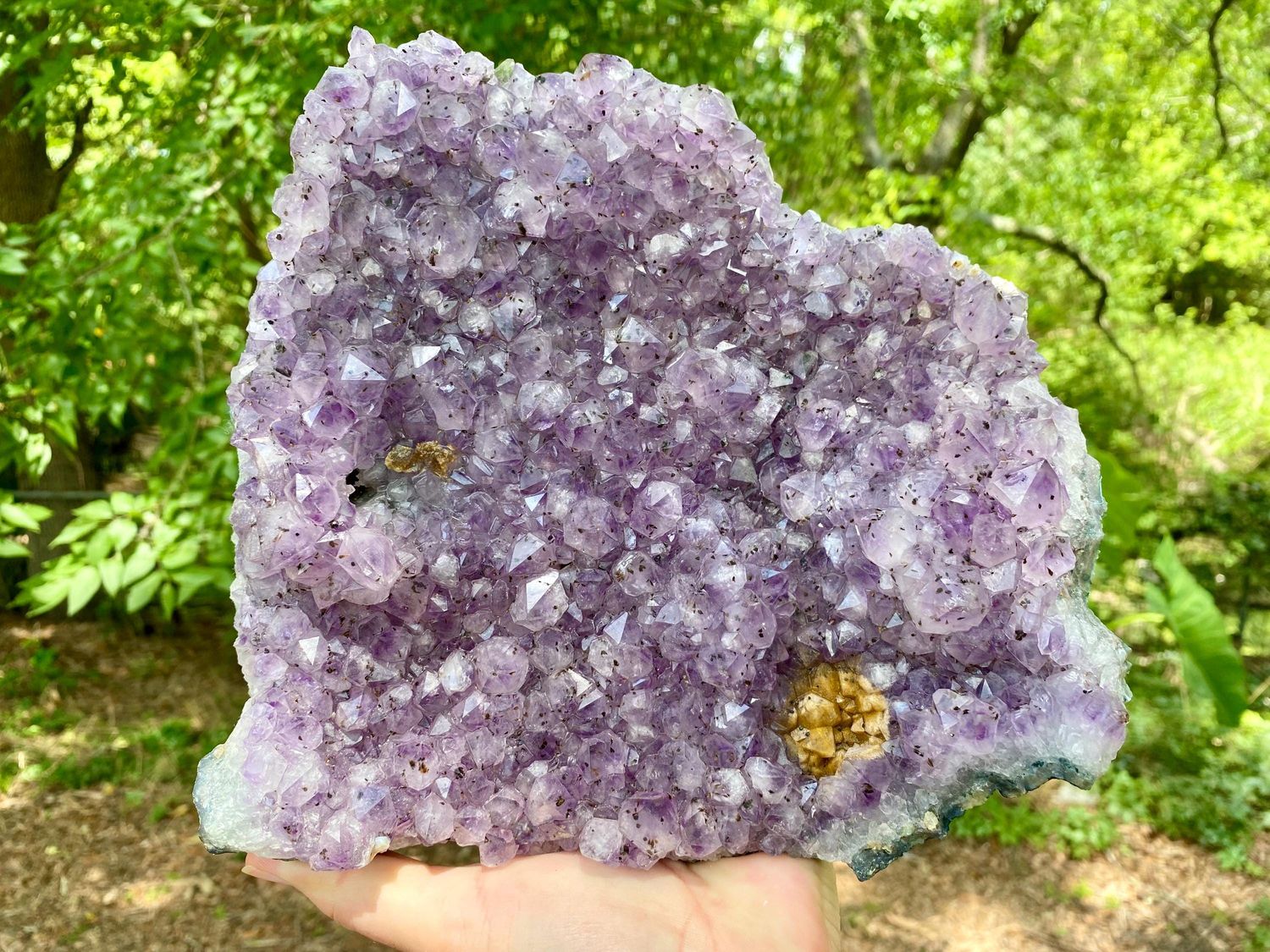 Beautiful XL Amethyst Crystal Cluster. Extra Large Amethyst Cluster.