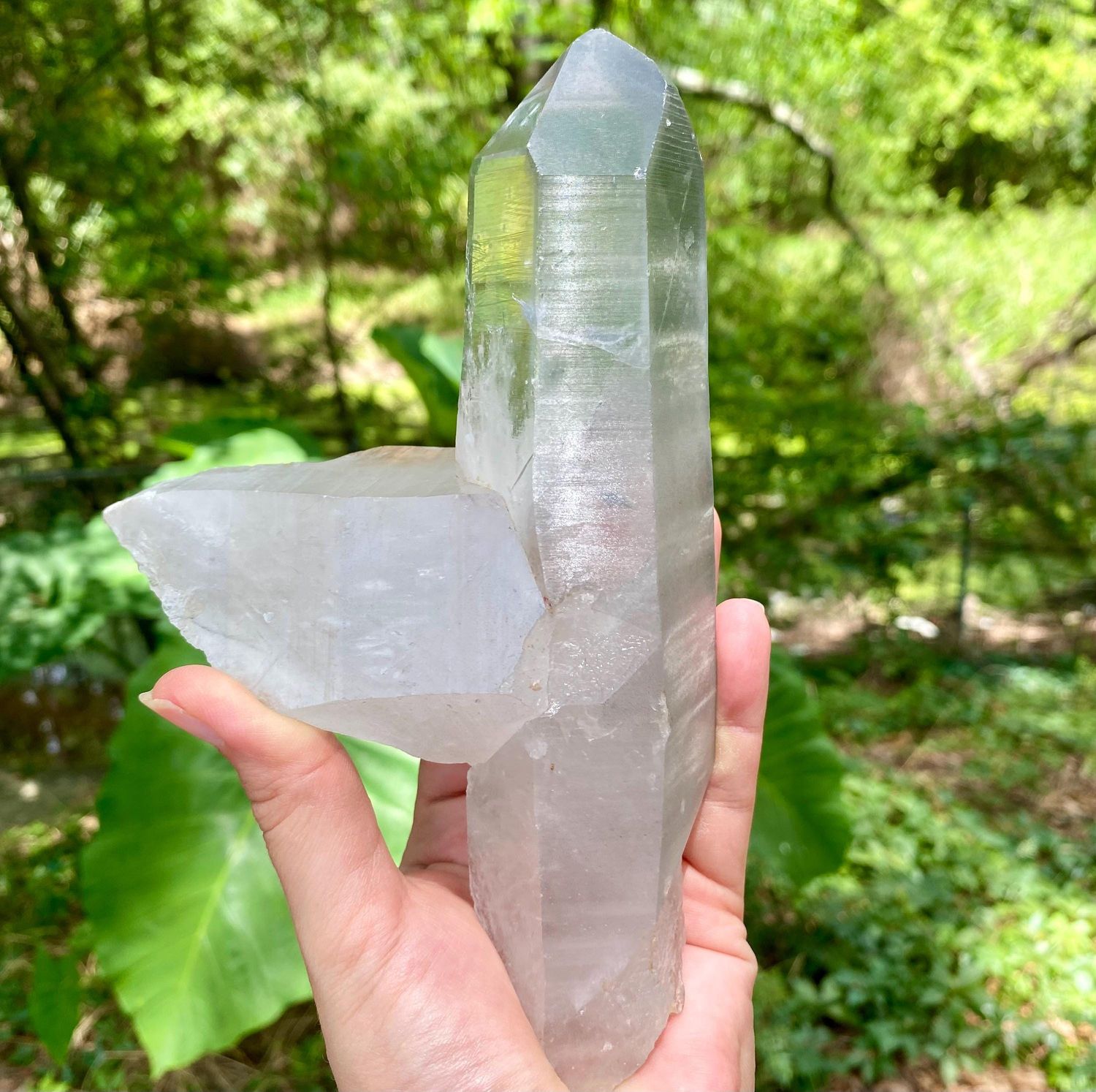 Marvelous Unpolished Diamantina Crystal Wand with Phantoms, Chlorite Inclusions and Record Keepers. Large Bridge Crystal Point.
