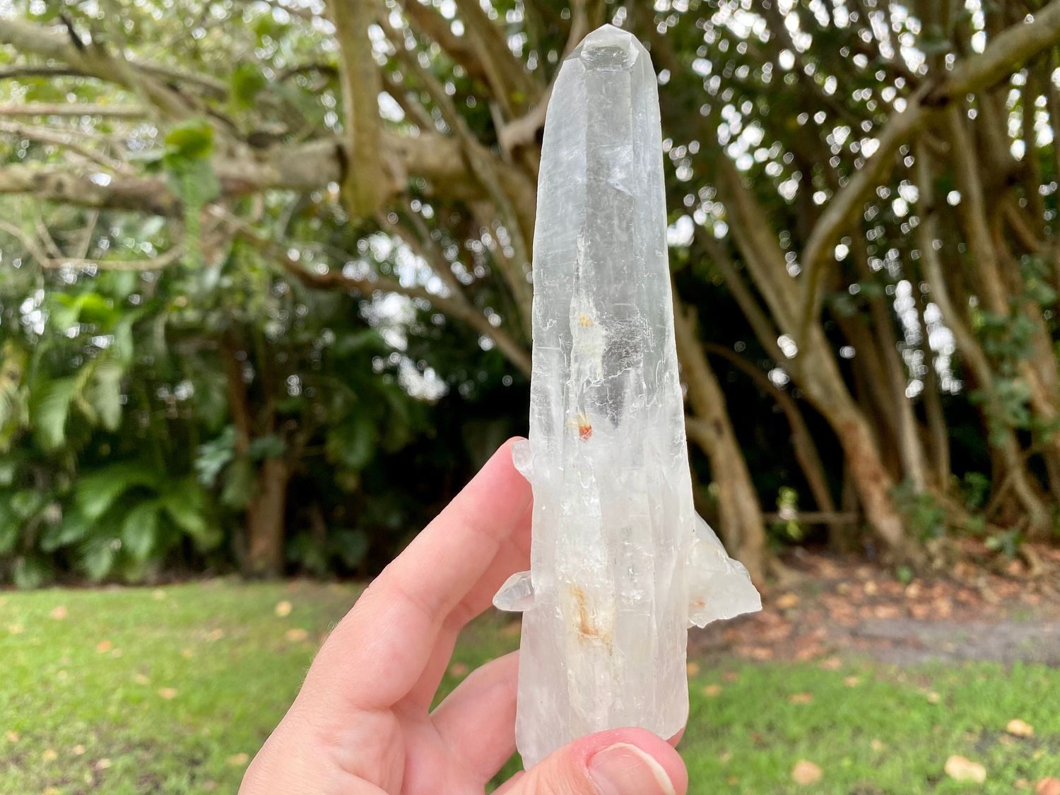 Sublime Diamantina Crystal Point. Large Raw Diamantina Quartz Wand.