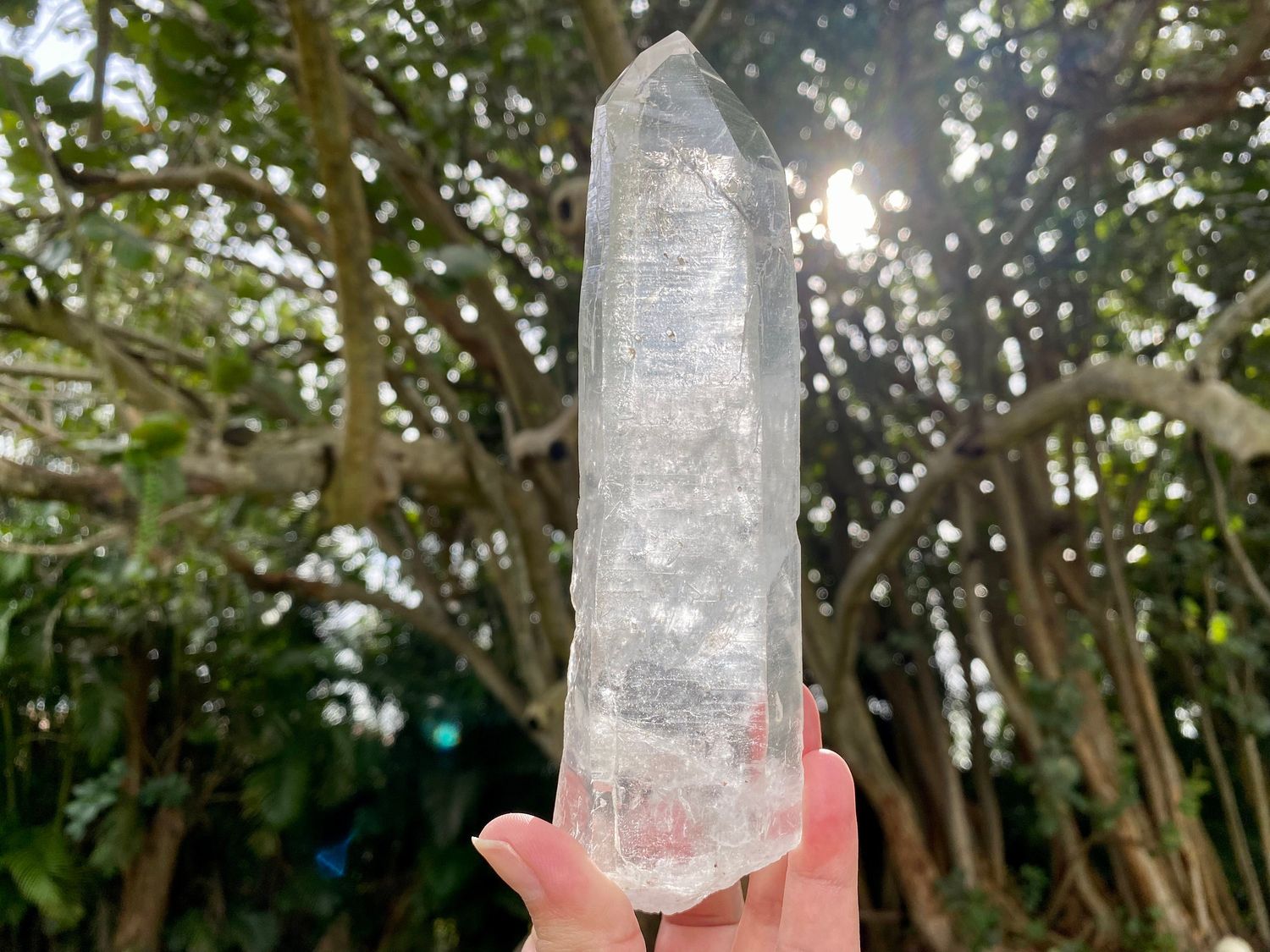Stunning Diamantina Crystal Wand. Large Diamantina Quartz Crystal Point.