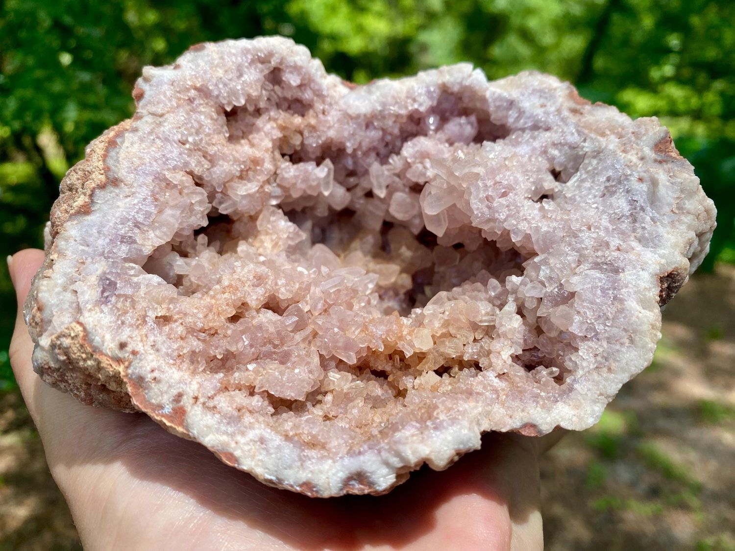 Sublime Raw Pink Amethyst Cluster. Extra Large Pink Amethyst Crystal Geode.
