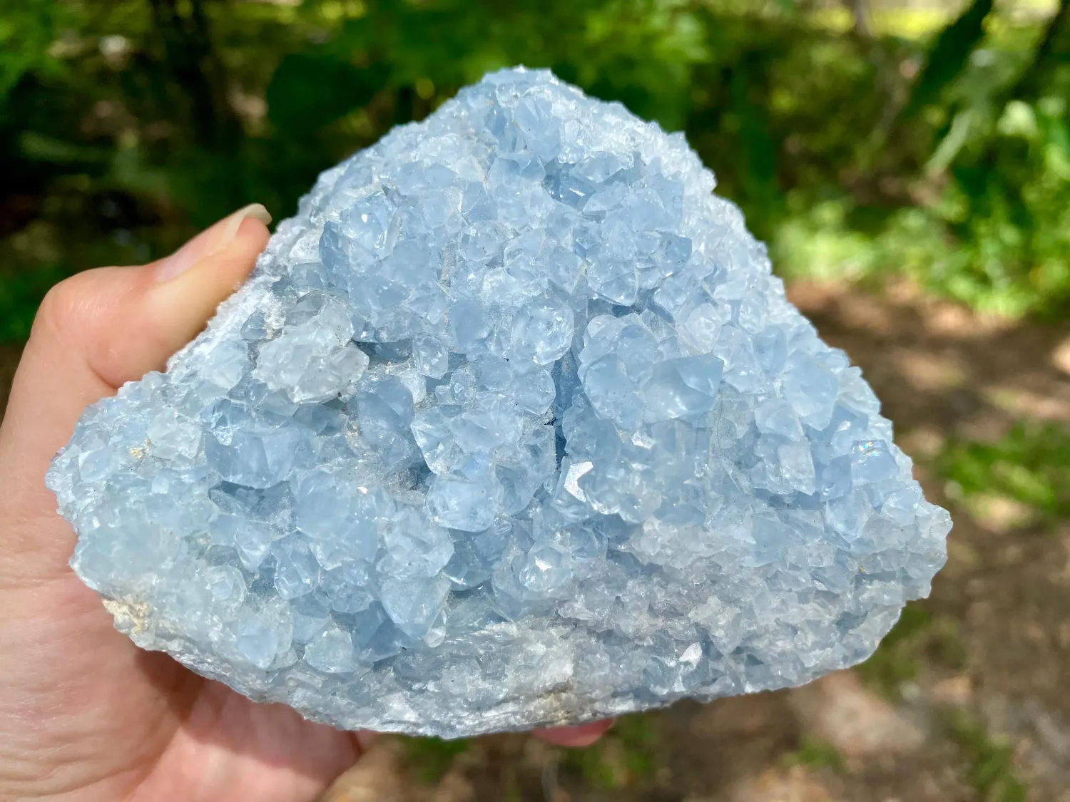 Beautiful Raw Celestite Crystal Cluster. Large Celestite Geode.