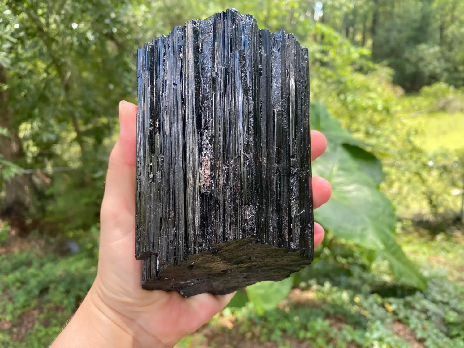 Gorgeous Black Tourmaline Crystal. Extra Large Black Tourmaline Crystal.