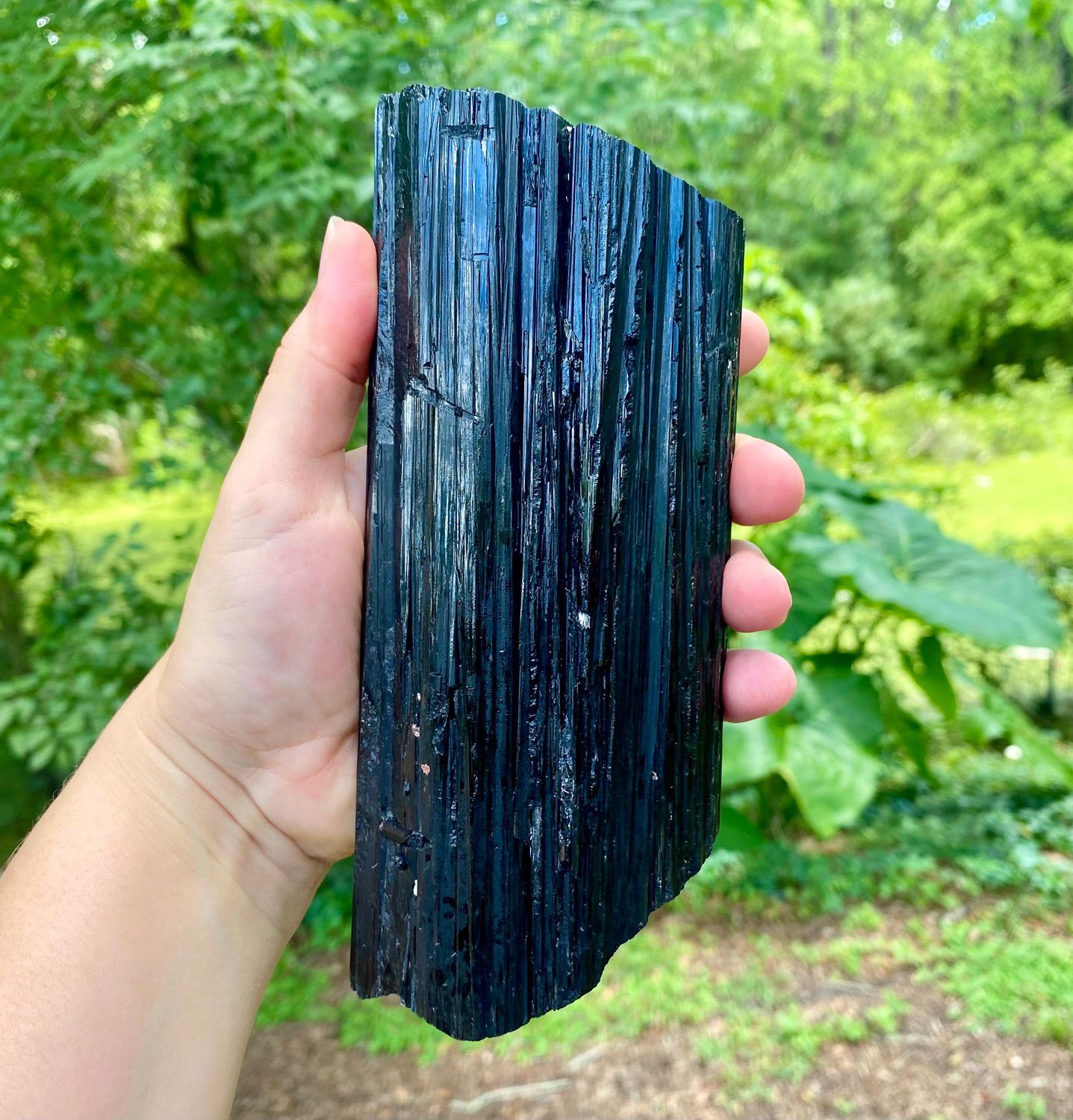 Extra Large Black Tourmaline Crystal. Natural Raw Black Tourmaline.