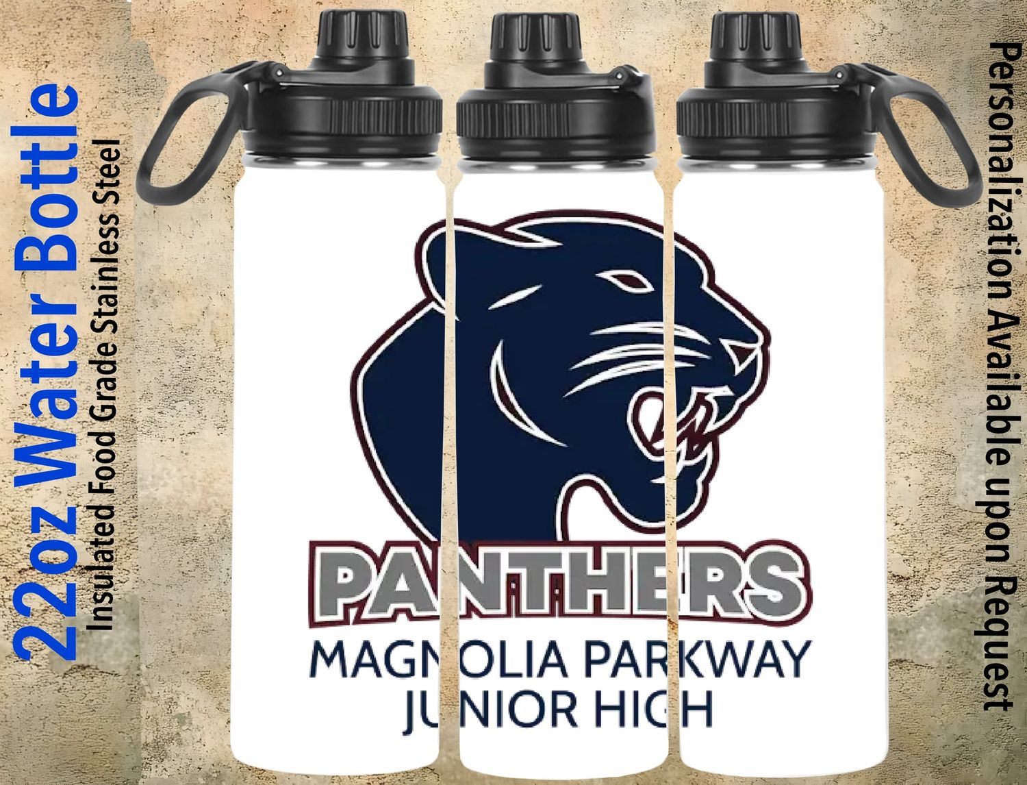 22oz Stainless Steel Water Bottle