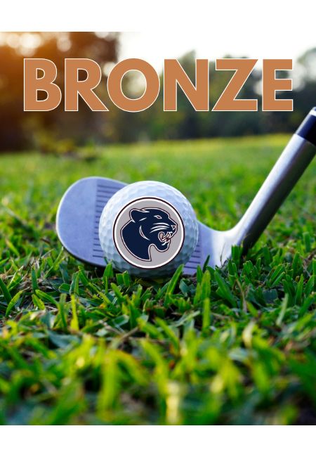 Bronze Level Sponsor