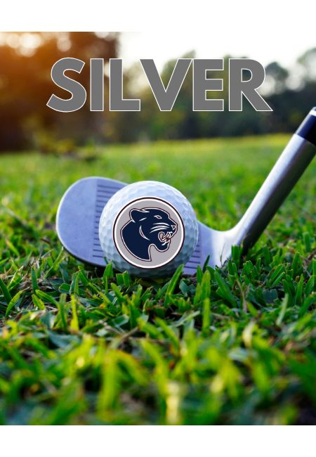 Silver Level Sponsor