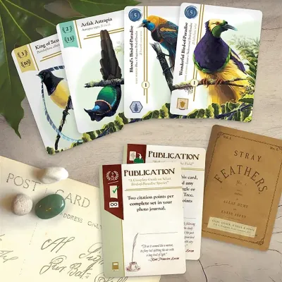 Collection of bird cards with illustrations of Birds of Paradise