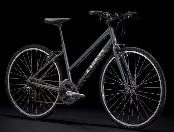 Trek FX 1 Stagger M Lithium Grey