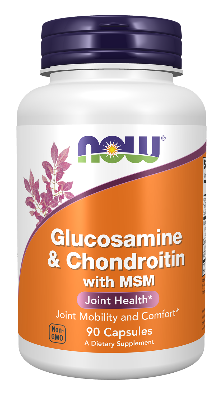 Glucosamine &amp; Chondroitin w/ MSM