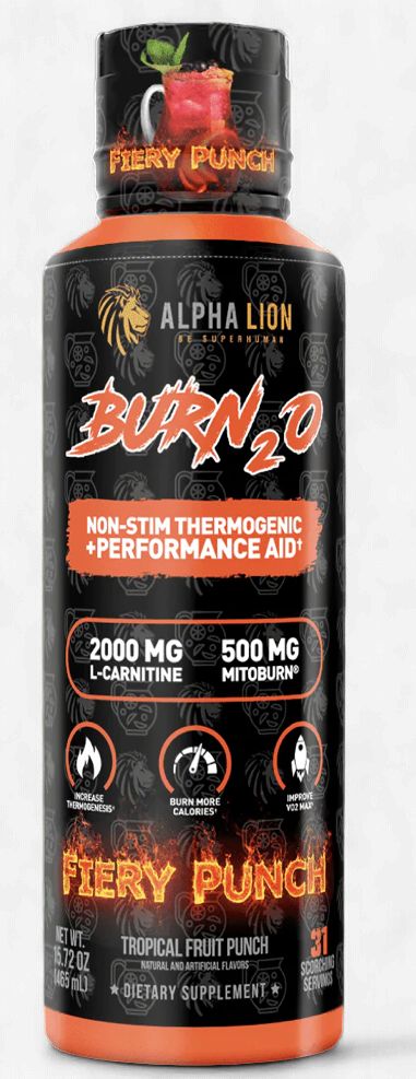 Burn 2.0