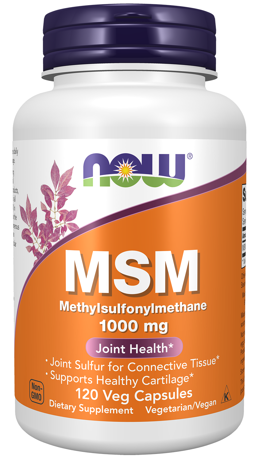 MSM 1000g