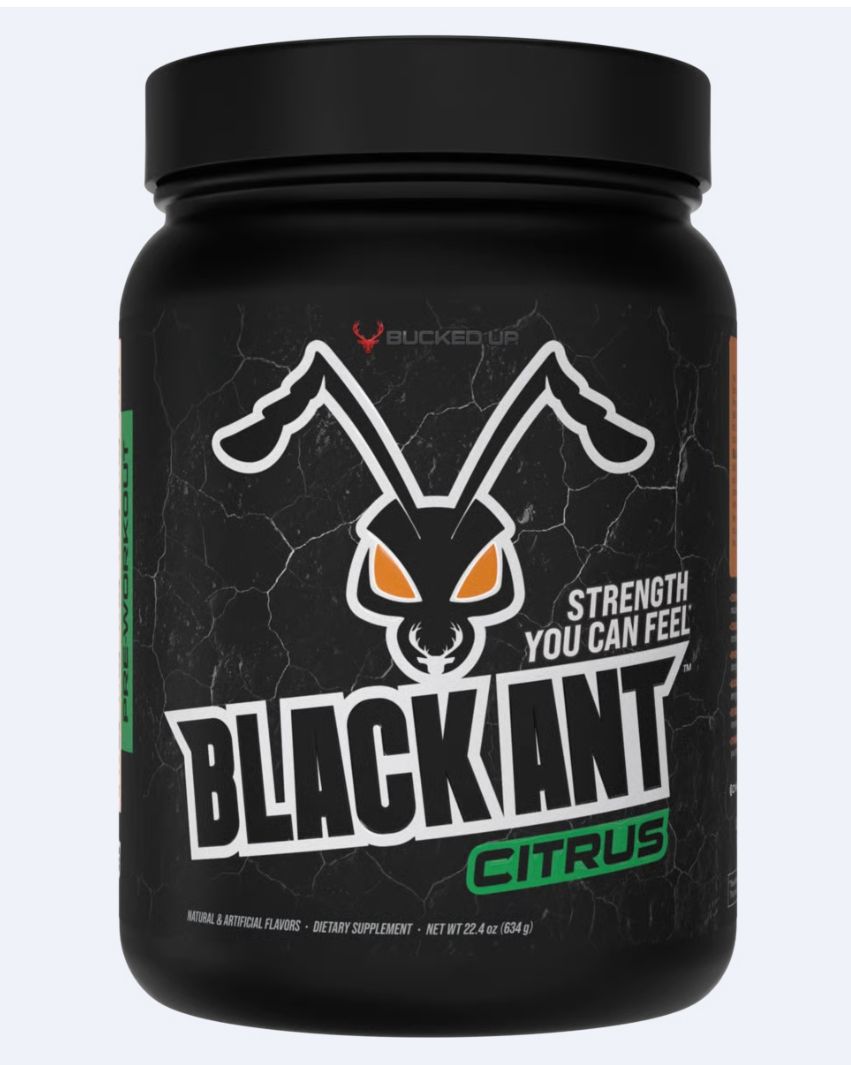 Black Ant