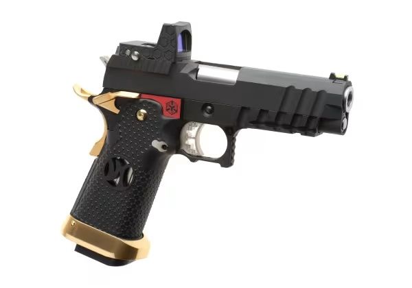 HX 2601 AW Custom