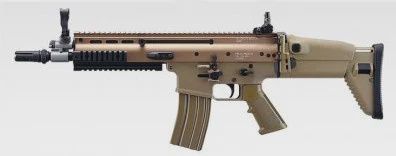 TM Scar-L