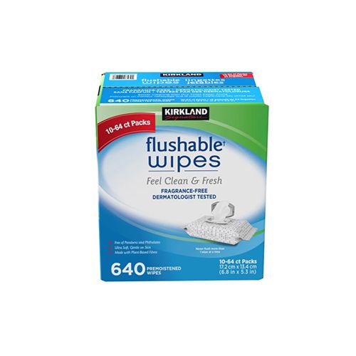 Kirkland Signature Moist Flushable Wipes, Unscented