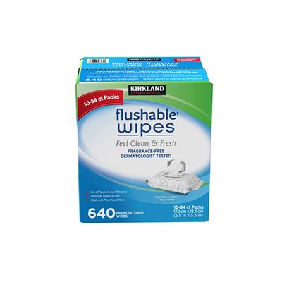 Kirkland Signature Moist Flushable Wipes, Unscented