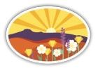 Vinyl Sticker - Sunrise