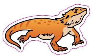 Vinyl Sticker - Bearded Dragon
