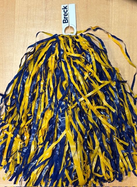 Blue/Gold Pom Poms