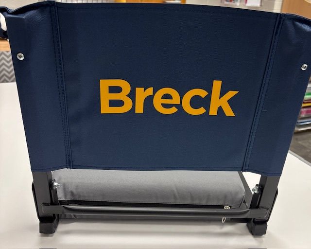 Stadium Chair Navy with Gold Breck