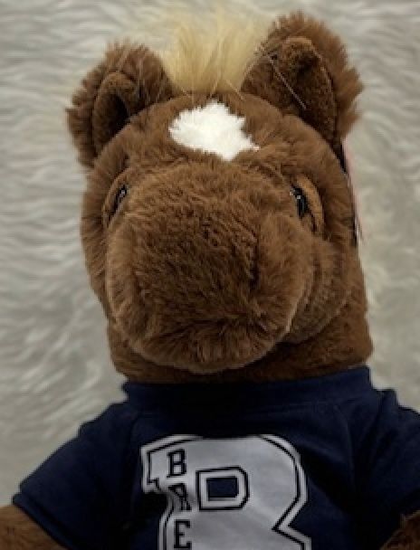 Aurora Sluuumpy Horse with Breck Tee