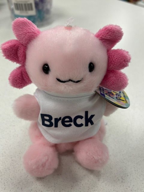 Stuffed Axolotl