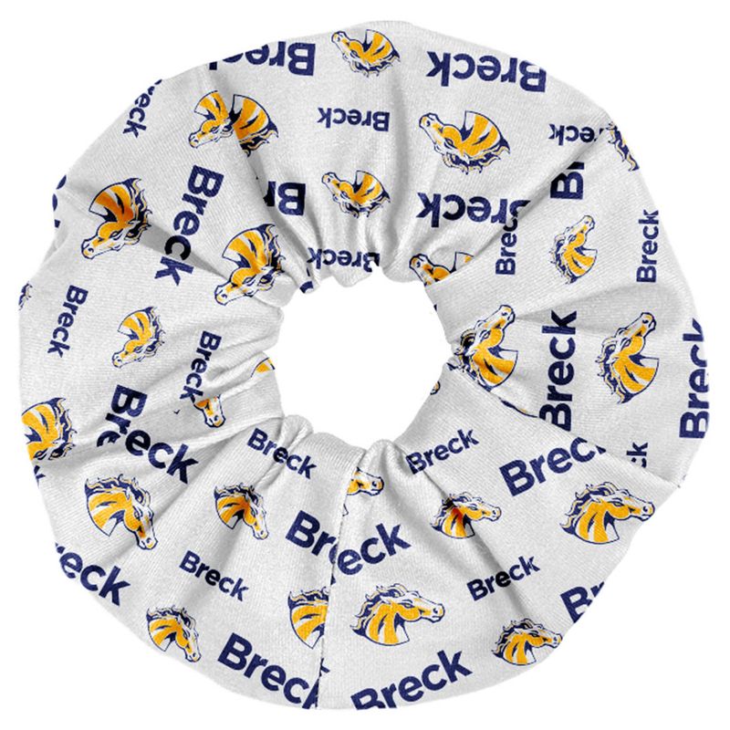 Spirit Scrunchie