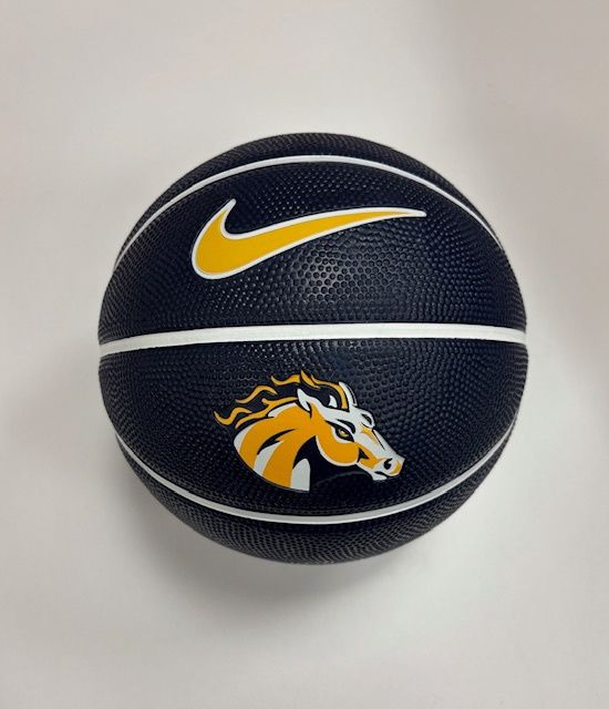 Training Basketball