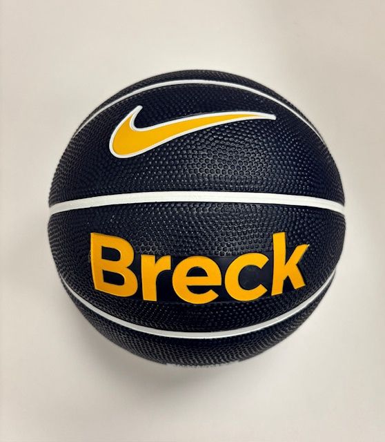 Training Basketball