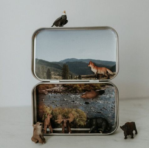 Mini Wilderness Magnetic Animal Tin