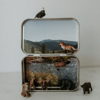 Mini Wilderness Magnetic Animal Tin