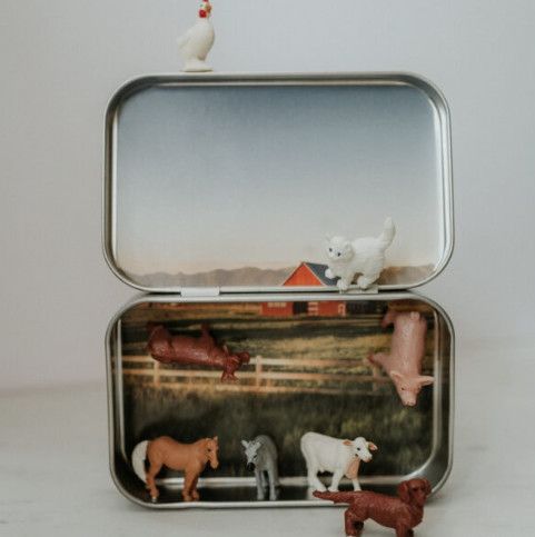 Mini Ranch Magnetic Animal Tin