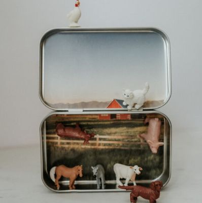 Mini Ranch Magnetic Animal Tin