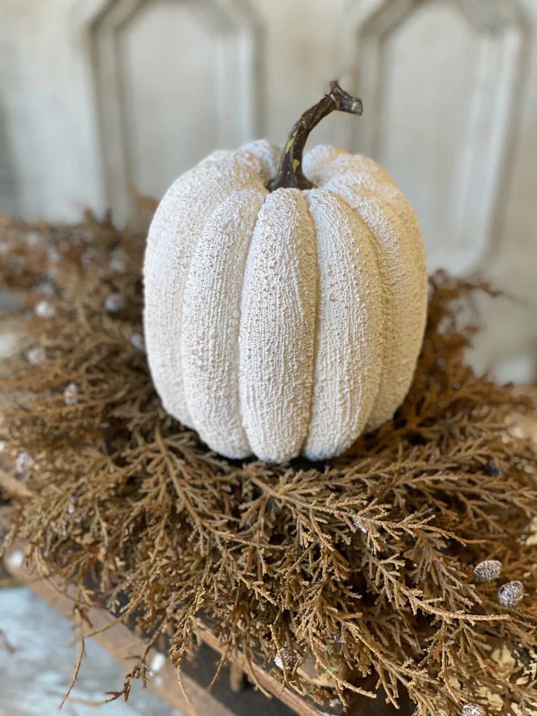 Clearance Full Moon Pumpkin 8&quot;