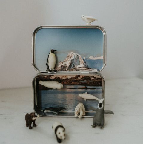 Mini Arctic Animal Tin