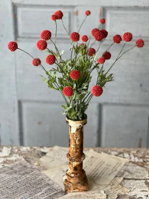 Clearance - Wind Dancer 23” Red