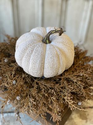 Clearance Full Moon Pumpkin 6.5&quot;