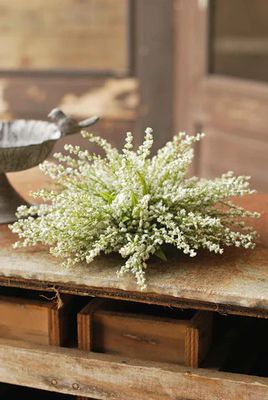 Heather Brush 10.5” Cream