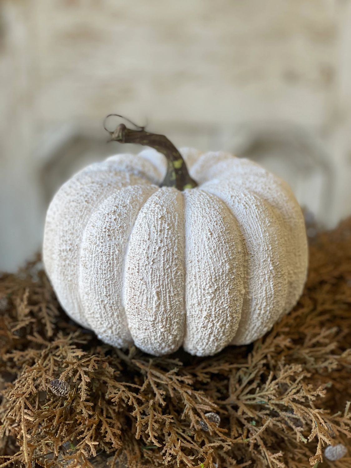 Clearance Full Moon Pumpkin 6.75”