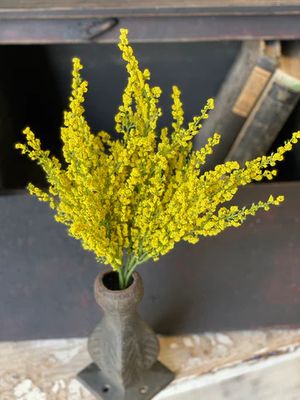 Heather Bush 10.5” Yellow