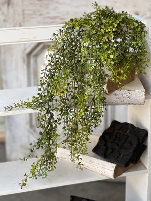 Baby's Grass Hanging New Green 33”